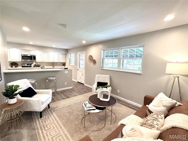 1 Rendina Ct, Ellisville, MO 63011 - photo 5
