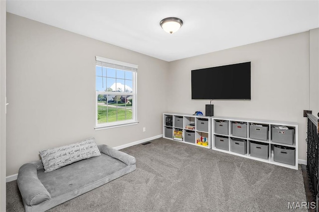 1250 Peruque Ridge Dr, Wentzville, MO 63385 - photo 17