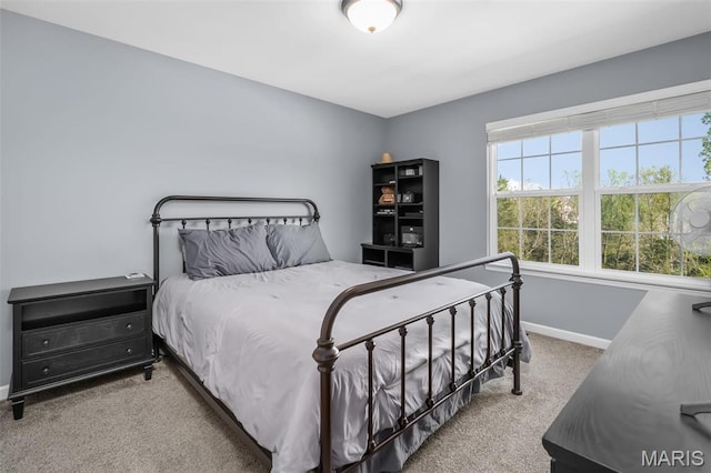 1250 Peruque Ridge Dr, Wentzville, MO 63385 - photo 25