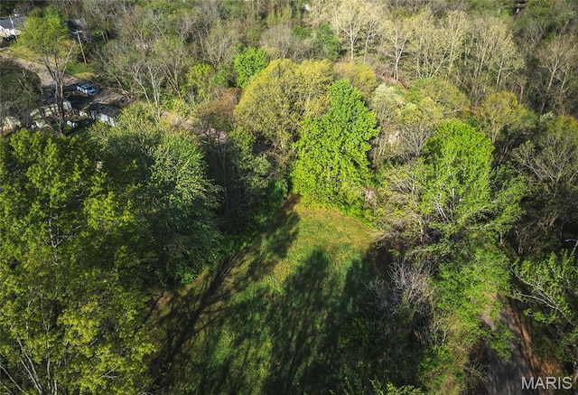 drone / aerial view of a forest