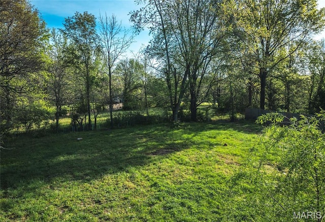 view of green lawn