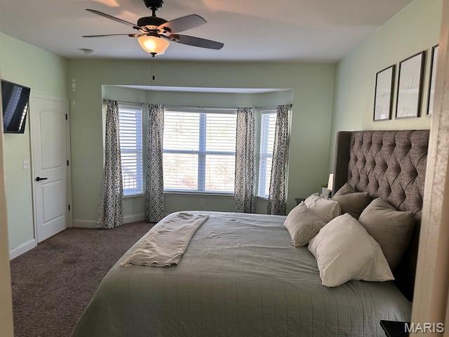 203 Chadwyck Cir, Herculaneum, MO 63048 - carpeted bedroom with multiple windows, baseboards, and ceiling fan