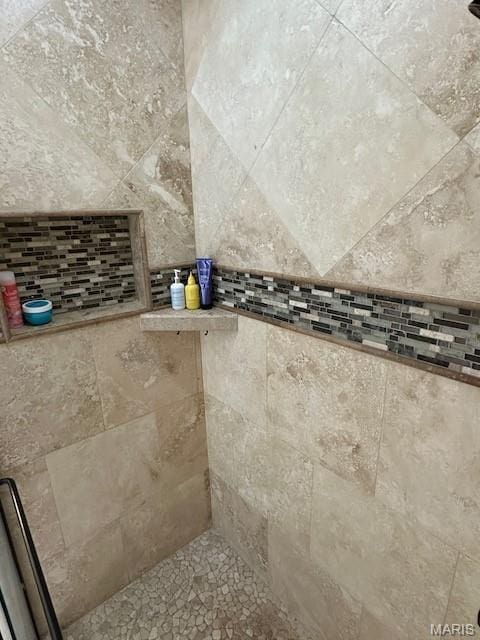 203 Chadwyck Cir, Herculaneum, MO 63048 - bathroom view of tiled shower