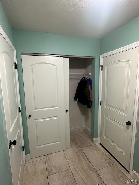 203 Chadwyck Cir, Herculaneum, MO 63048 - view of closet