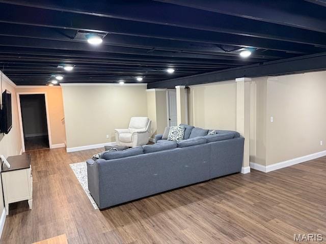 203 Chadwyck Cir, Herculaneum, MO 63048 - living room featuring baseboards and wood finished floors