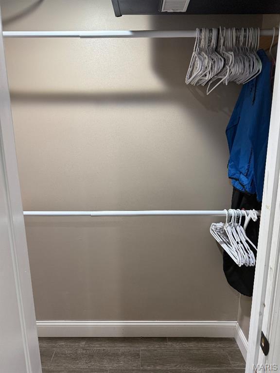 203 Chadwyck Cir, Herculaneum, MO 63048 - view of closet
