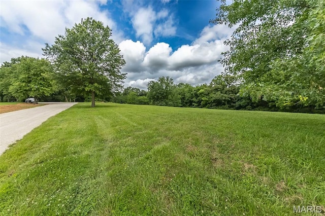 560 Cook Farm Dr, Foristell, MO 63348 - photo 2