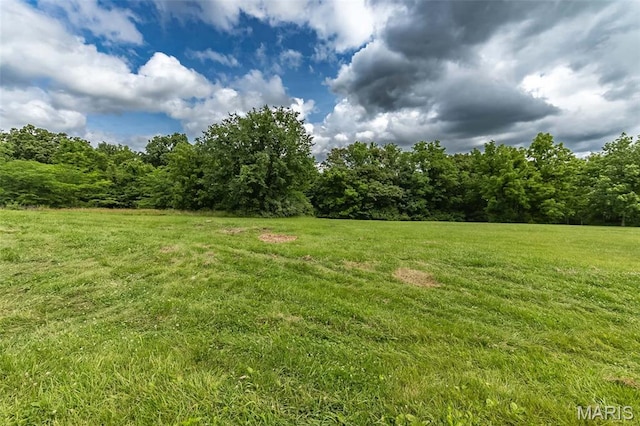 560 Cook Farm Dr, Foristell, MO 63348 - photo 3