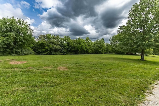 560 Cook Farm Dr, Foristell, MO 63348 - photo 4