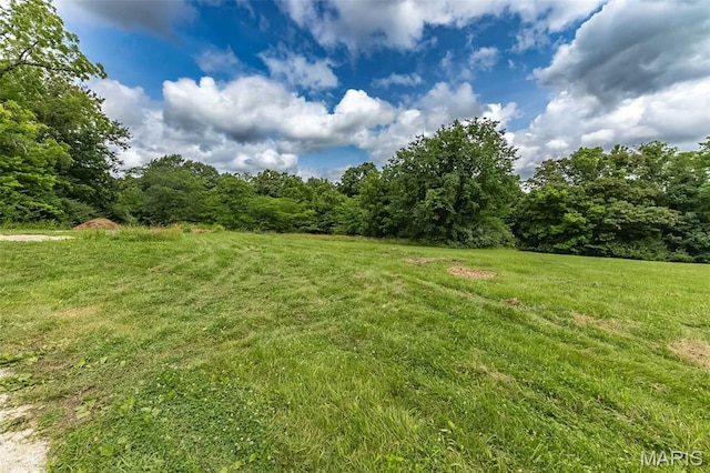 560 Cook Farm Dr, Foristell, MO 63348 - photo 5