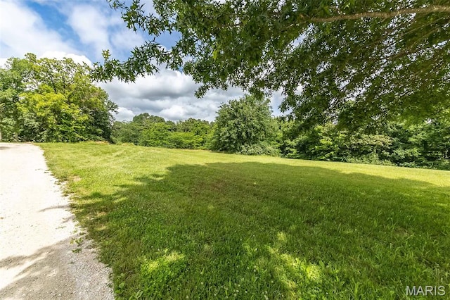 560 Cook Farm Dr, Foristell, MO 63348 - photo 7