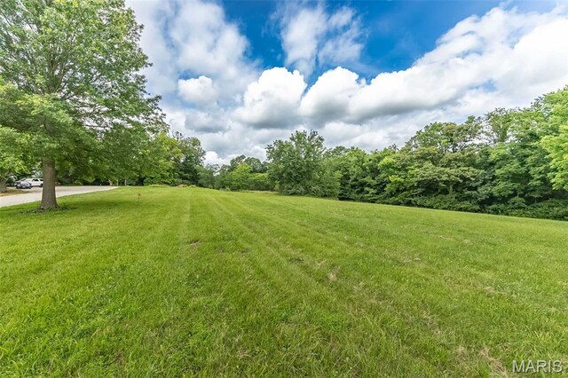 560 Cook Farm Dr, Foristell, MO 63348 - photo 8