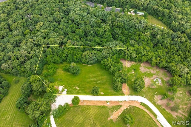 560 Cook Farm Dr, Foristell, MO 63348 - photo 10