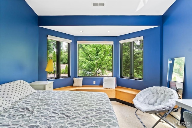 400 Gabriel Dr, Kirkwood, MO 63122 - bedroom with multiple windows and carpet floors