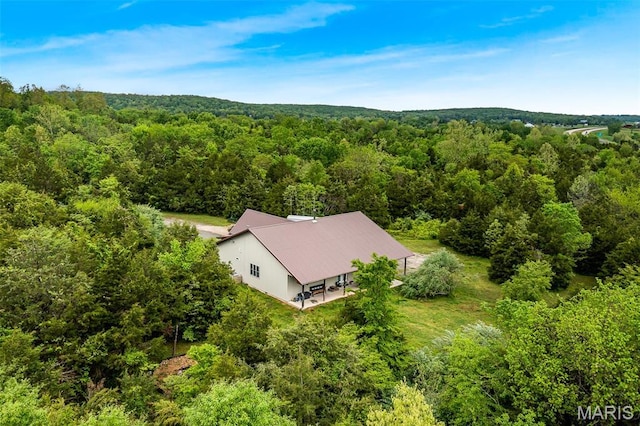 1350 Madison 500, Fredericktown, MO 63645 - view of subject property featuring a heavily wooded area