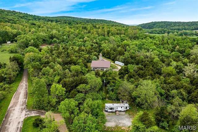 1350 Madison 500, Fredericktown, MO 63645 - aerial view of a forest