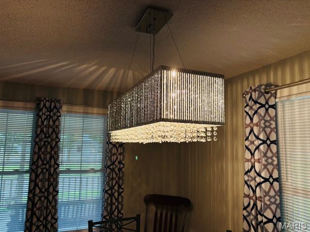 305 Frisco St, Steelville, MO 65565 - detailed view of a textured ceiling