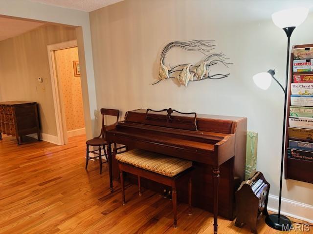 305 Frisco St, Steelville, MO 65565 - living area featuring light wood-type flooring and baseboards