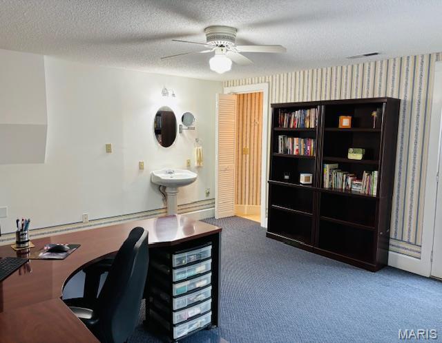 305 Frisco St, Steelville, MO 65565 - office area featuring a ceiling fan, carpet flooring, and a textured ceiling