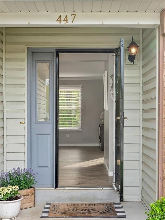 447 Omar Ct, Saint Peters, MO 63376 - view of doorway to property