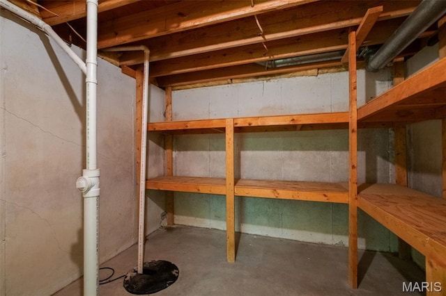 1439 Briarcreek Dr, Saint Louis, MO 63122 - view of storage