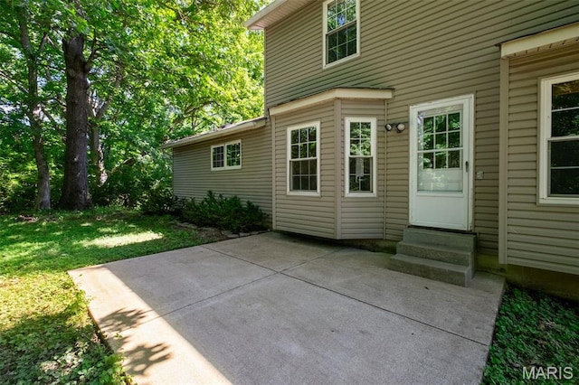 1439 Briarcreek Dr, Saint Louis, MO 63122 - view of patio featuring entry steps
