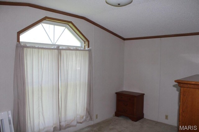 124 New Hope Rd, Elsberry, MO 63343 - photo 15