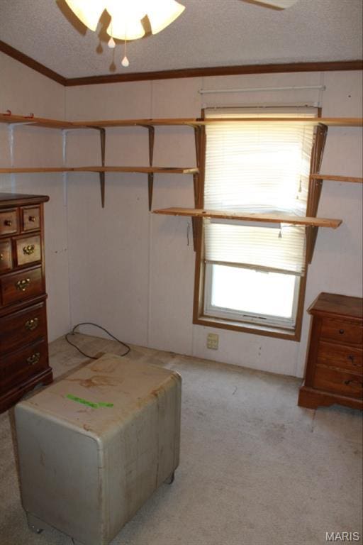124 New Hope Rd, Elsberry, MO 63343 - photo 9