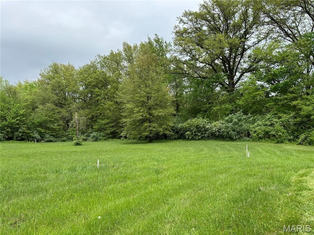 146 Bunny Trl, Carlyle, IL 62231