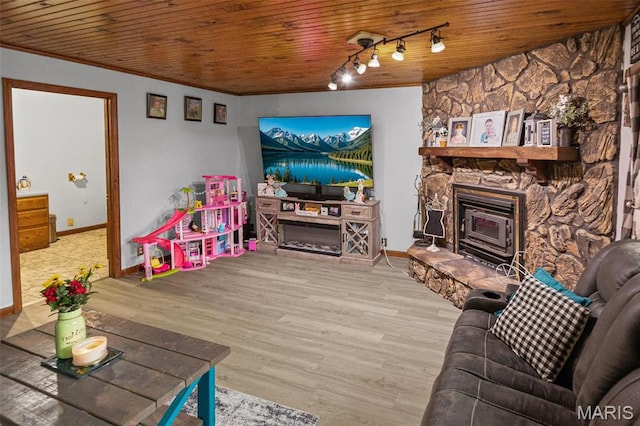 519 N Maple St, Duquoin, IL 62832 - living area featuring wooden ceiling, baseboards, wood finished floors, and rail lighting