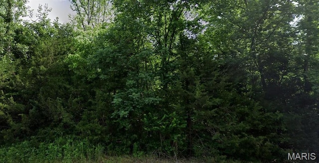 0 Regina Rd, Cedar Hill, MO 63016