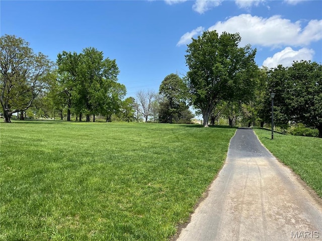 1548 Park Dr Way, Saint Louis, MO 63130 - view of community featuring a yard