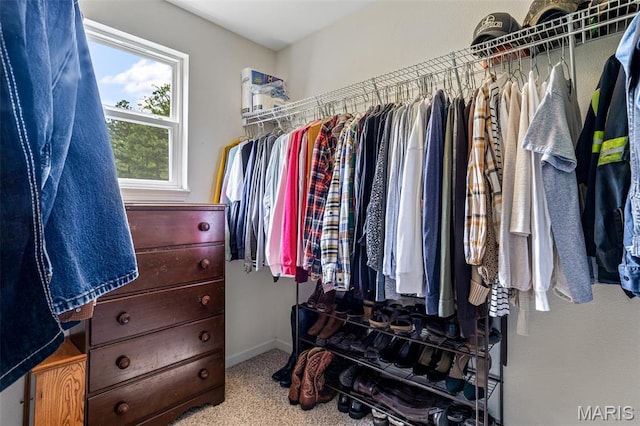 8007 Engleford Rd, Dittmer, MO 63023 - view of walk in closet