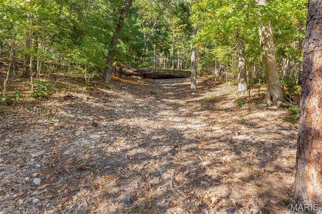 8007 Engleford Rd, Dittmer, MO 63023 - view of tree filled area