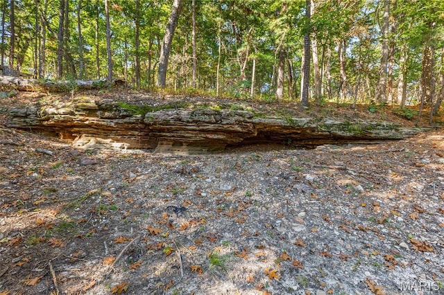 8007 Engleford Rd, Dittmer, MO 63023 - view of undeveloped land