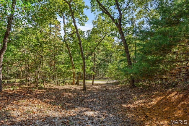 8007 Engleford Rd, Dittmer, MO 63023 - view of tree filled area