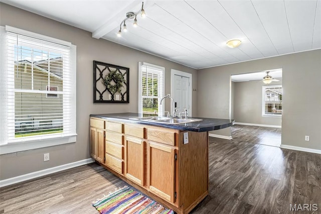 314 S Carleton St, Farmington, MO 63640 - kitchen with a sink, dark countertops, dark wood-type flooring, and baseboards