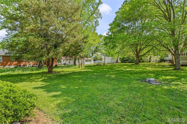 314 S Carleton St, Farmington, MO 63640 - view of yard