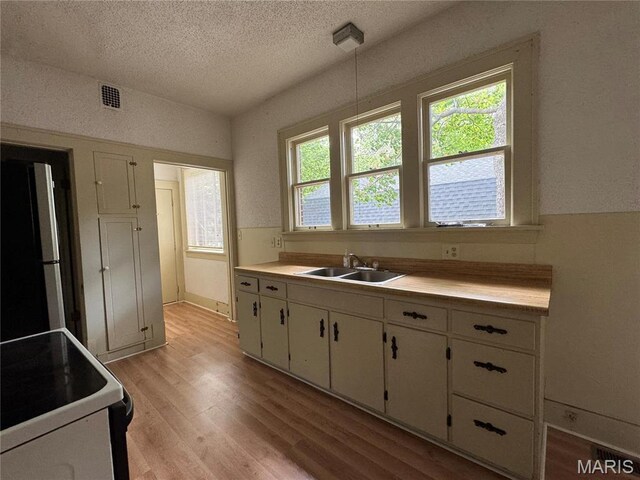 813 Main St, Poplar Bluff, MO 63901 - kitchen with a sink, freestanding refrigerator, healthy amount of natural light, white cabinetry, and a textured ceiling