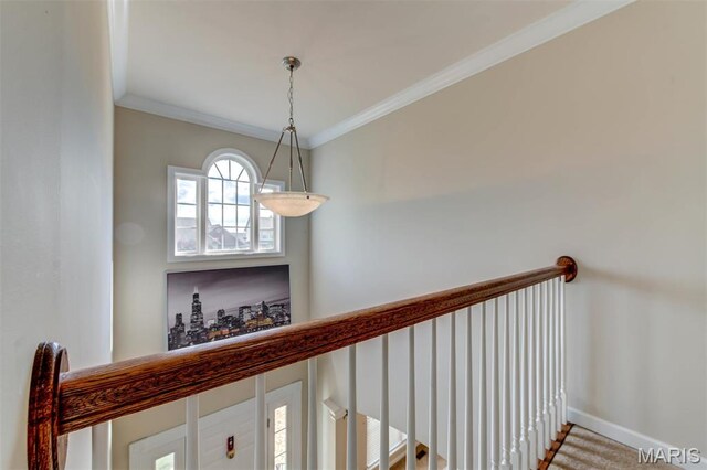 15 Windrose Lake Ct, Dardenne Prairie, MO 63368 - photo 38