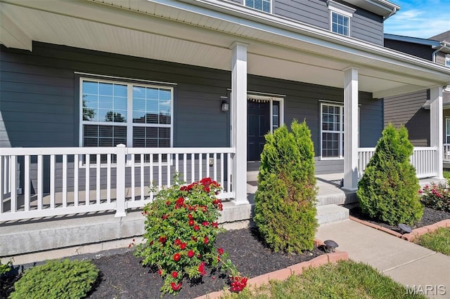 153 Stella Cherry Way, Wildwood, MO 63040 - entrance to property featuring a porch
