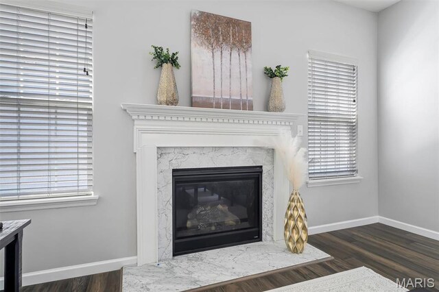 153 Stella Cherry Way, Wildwood, MO 63040 - detailed view of wood finished floors, baseboards, and a premium fireplace