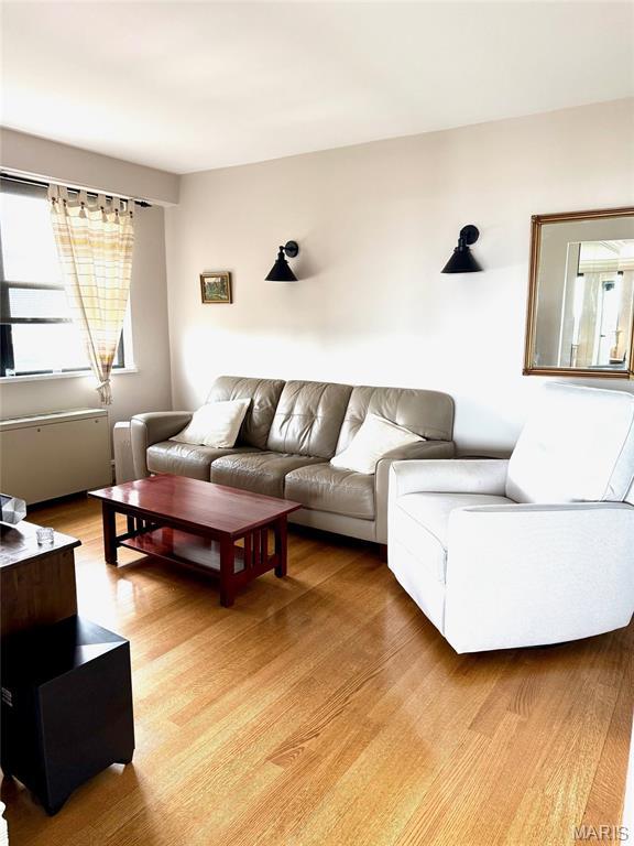 4466 W Pine Blvd Unit 22F, Saint Louis, MO 63108 - living room with light wood-type flooring
