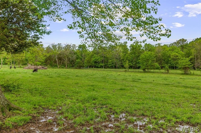802 Hager Rd, Farmington, MO 63640 - view of grassy yard with a wooded view and a rural view