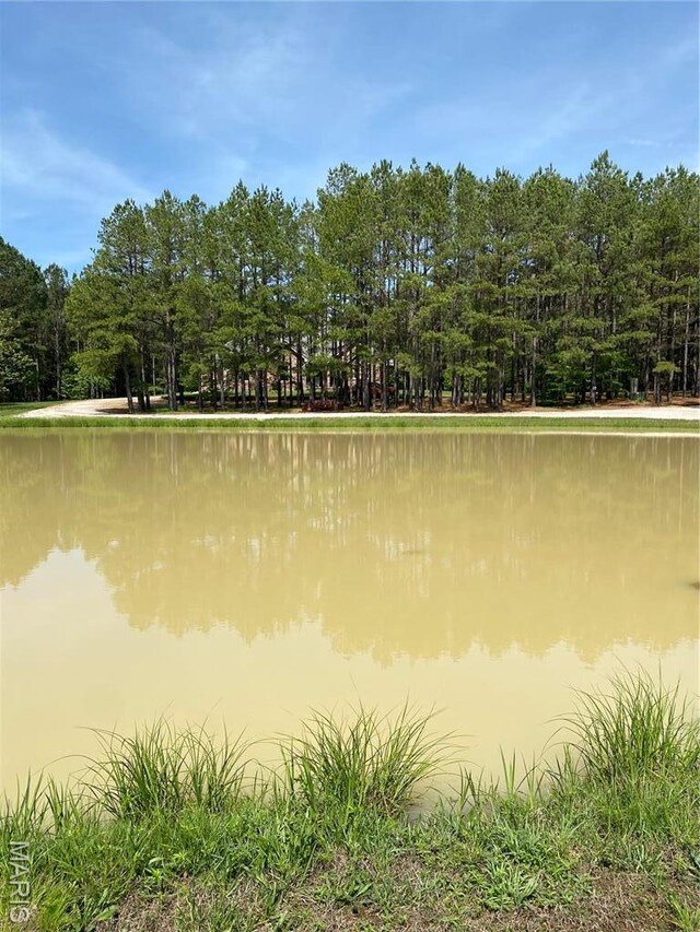 14035 County Road 4110, Rolla, MO 65401 - water view