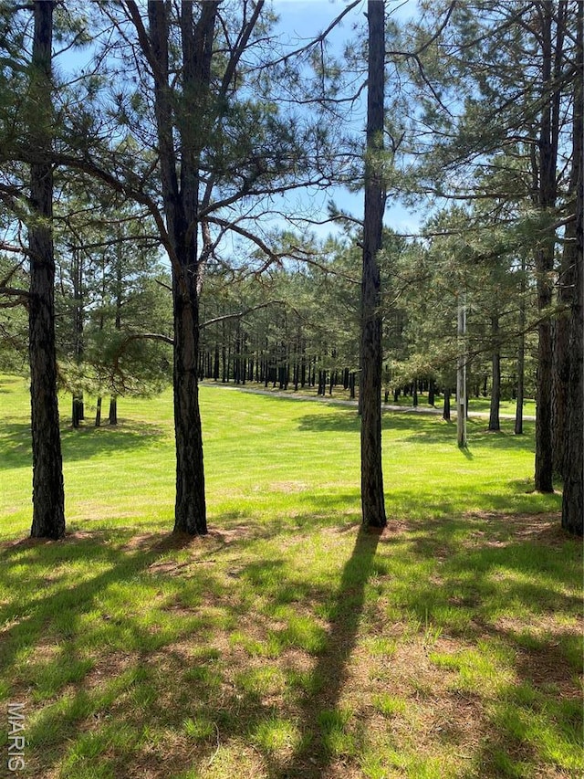 14035 County Road 4110, Rolla, MO 65401 - view of green lawn