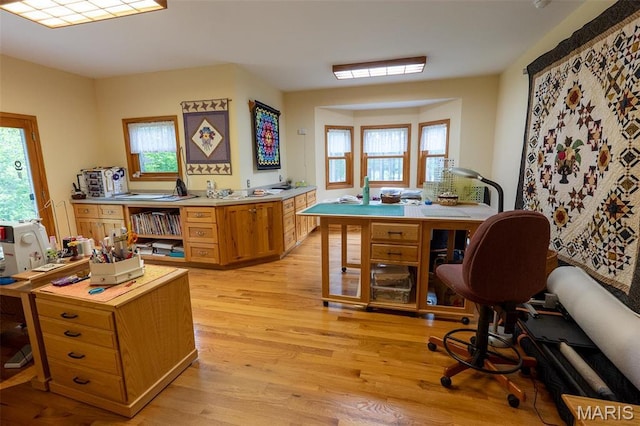 14035 County Road 4110, Rolla, MO 65401 - office featuring light wood-style flooring and plenty of natural light