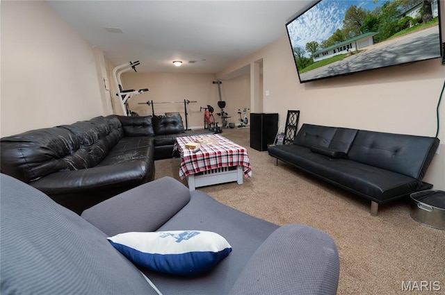 21695 Sable Rd, Waynesville, MO 65583 - living room featuring carpet