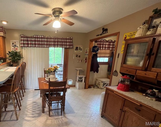 7070 Goldenrod Rd, Hannibal, MO 63401 - dining area with healthy amount of natural light, light flooring, ceiling fan, and a textured ceiling