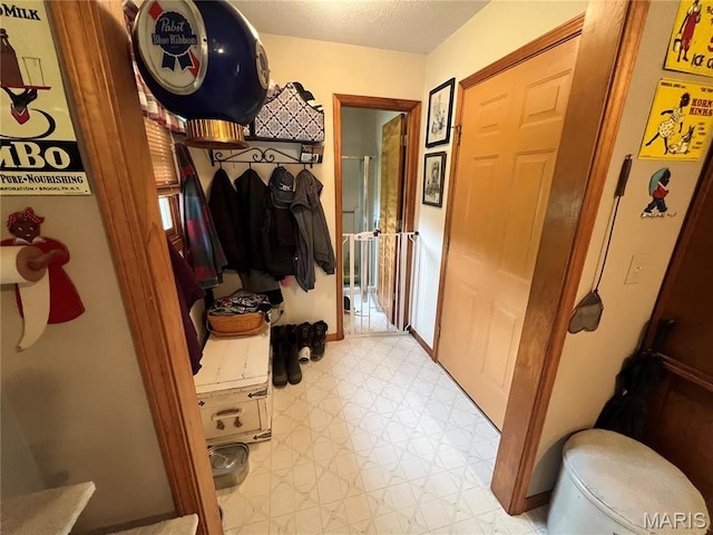 7070 Goldenrod Rd, Hannibal, MO 63401 - mudroom with light flooring and a textured ceiling